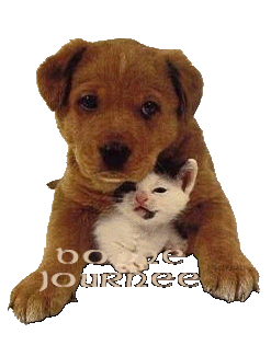 un chien