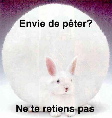 un lapin
