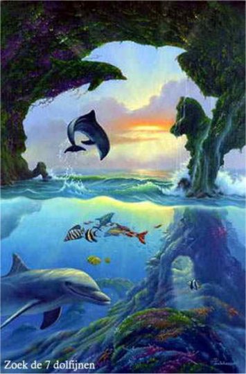 des dauphins