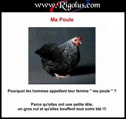 une poule