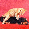 un petit massage!