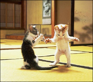 2 chats!